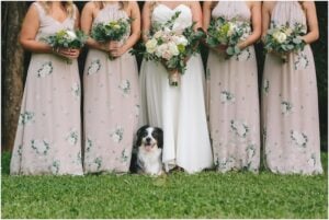 Pets in Weddings | Reverent Wedding Films