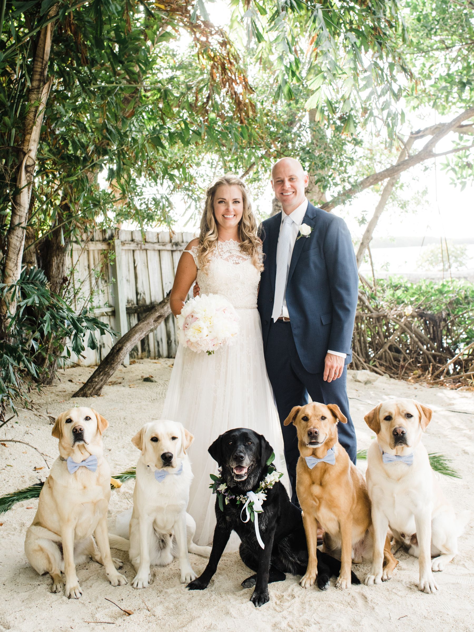 4 Cute Ways to Incorporate Your Dog into Your Wedding