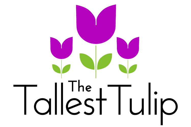 The Tallest Tulip